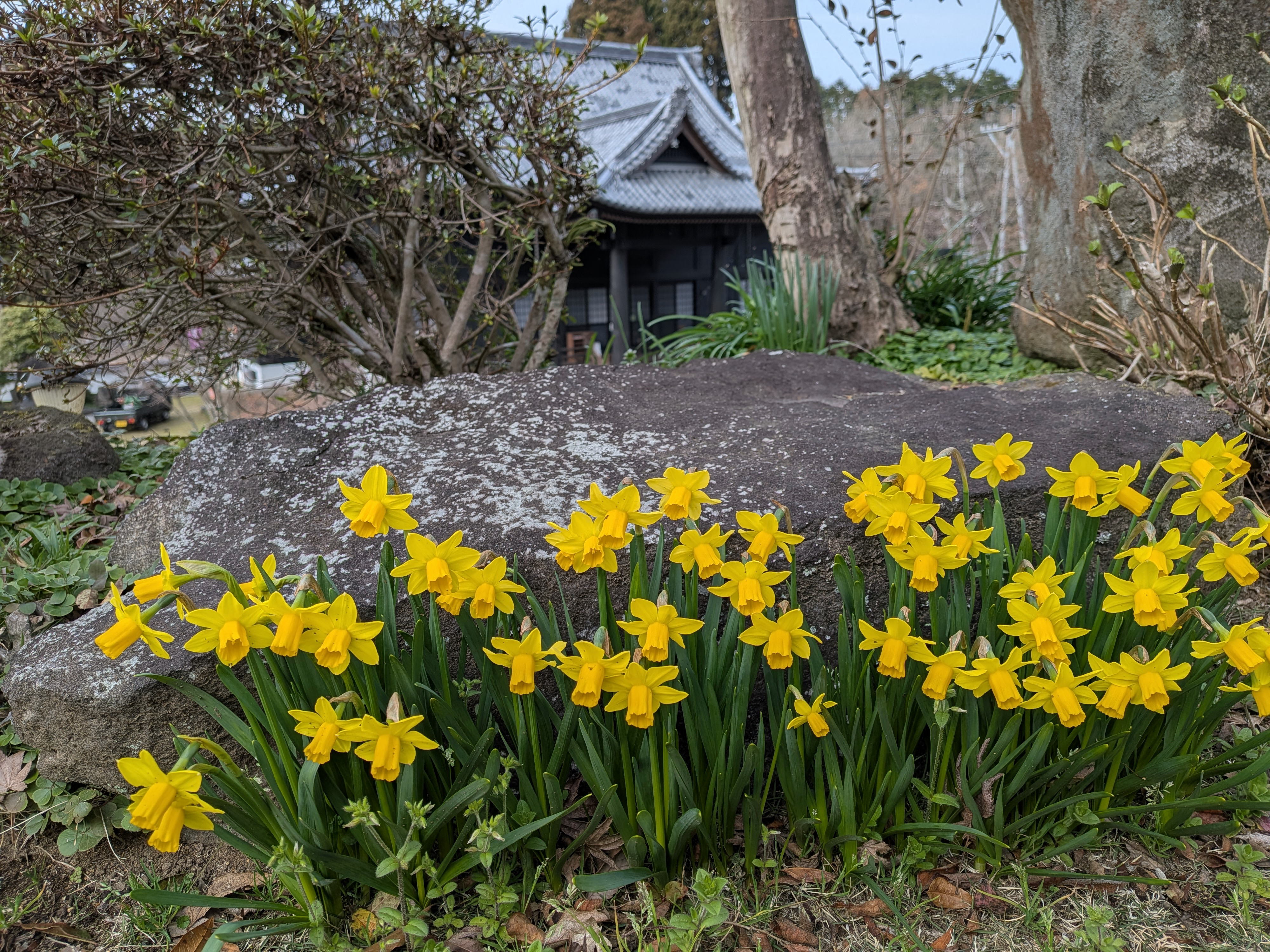 �[�H�C���[�W