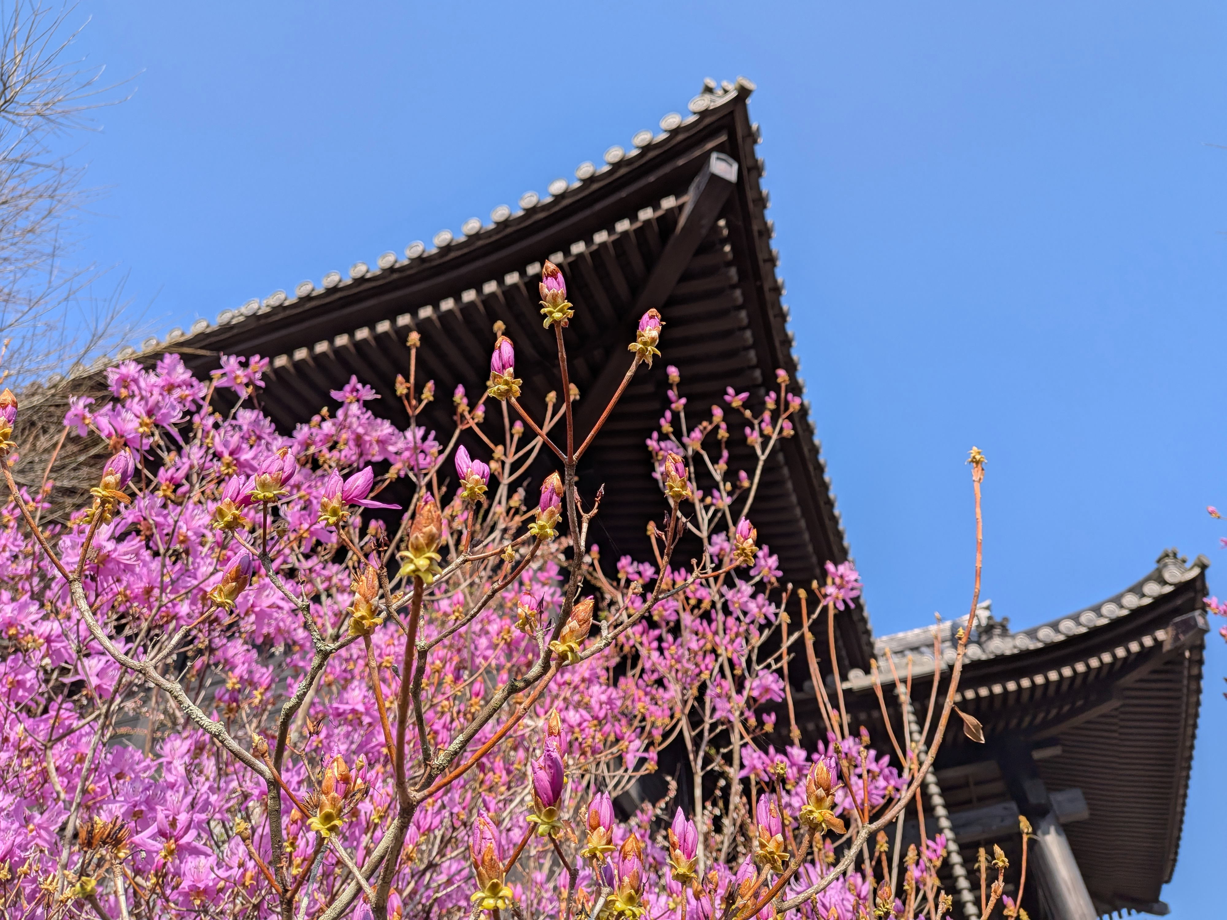 ����C���[�W