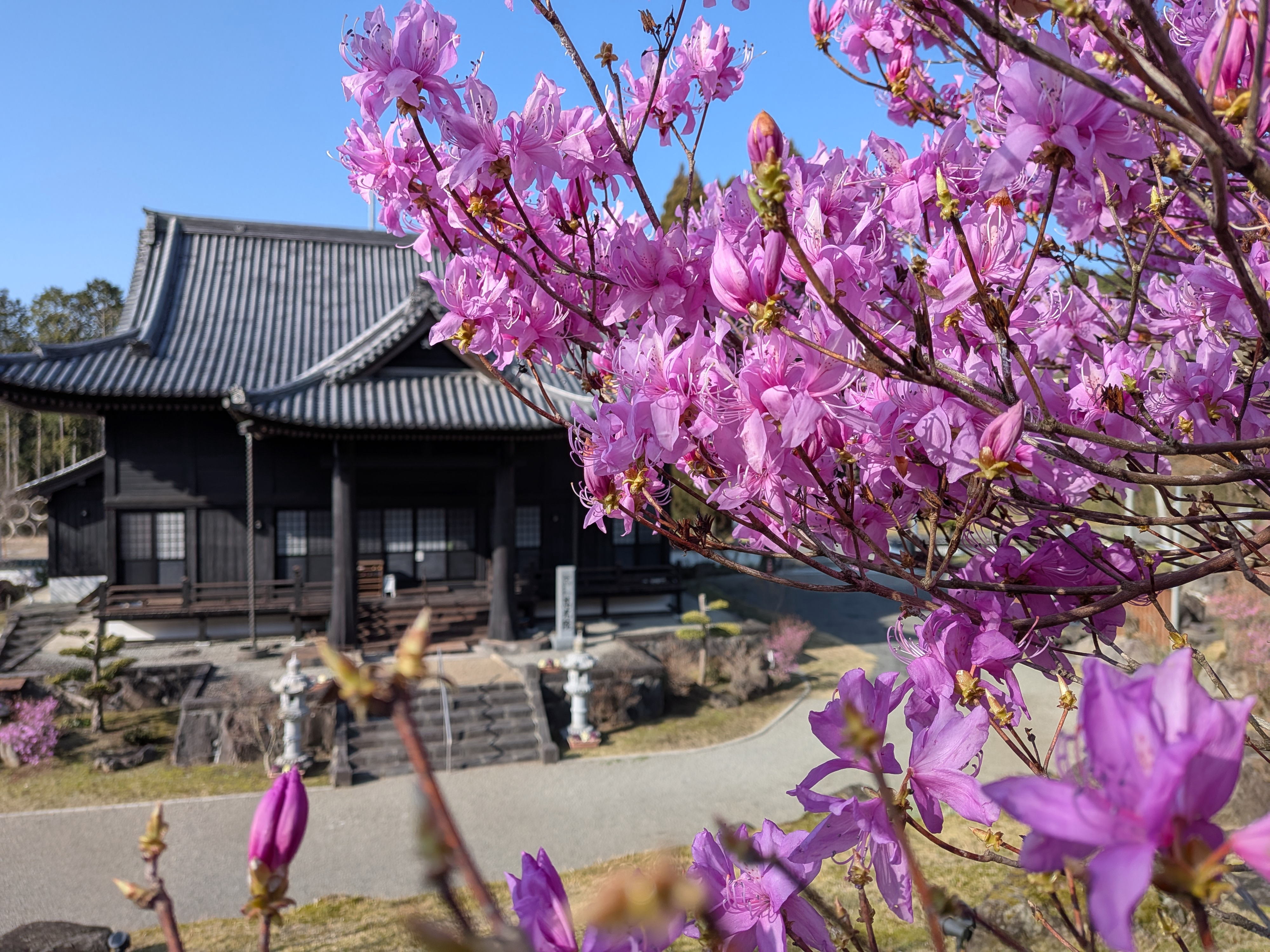 �ٓ��{�݃C���[�W